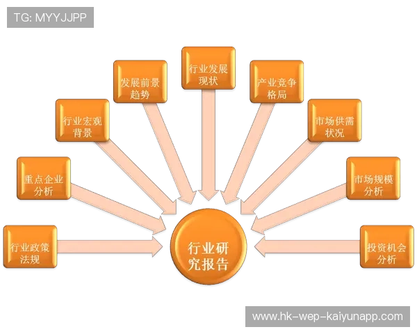 新闻中心提供权威评论与赛事深度分析，新闻中心提供权威评论与赛事深度分析报告